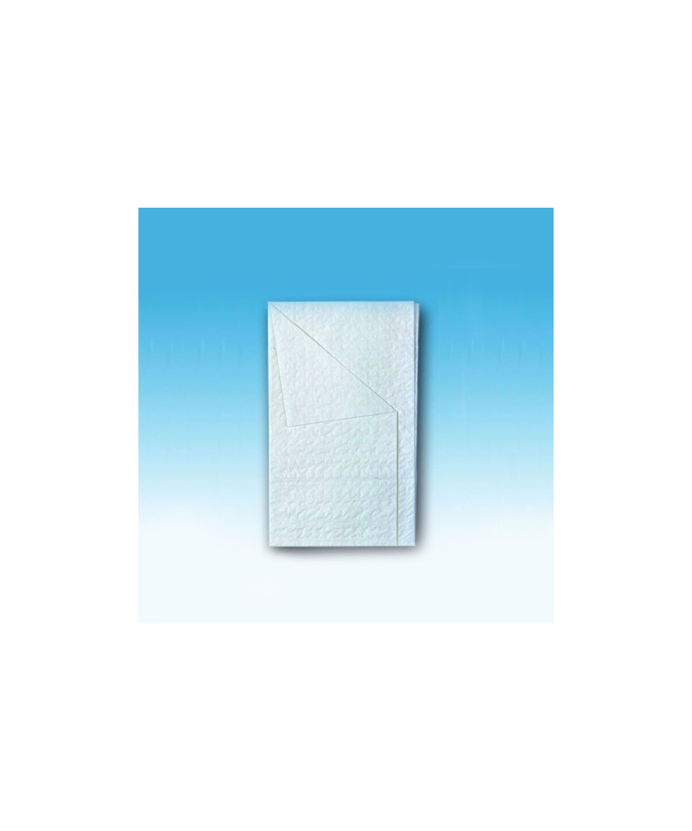 TOALLA SECAMANOS ESTER. 38x34cm. 1u. 12C100800