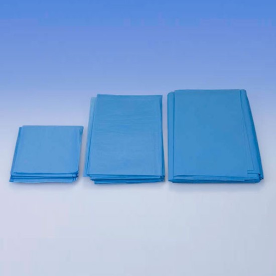 PAÑO RECT.ABSOR.ESTER. 50x50 125u. 12T138700