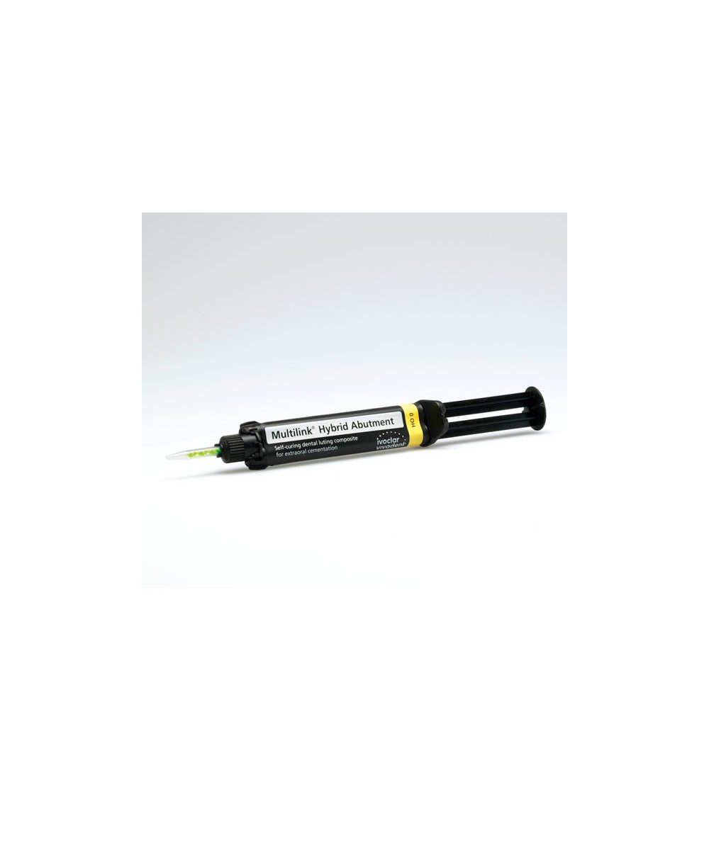 MULTILINK HYBRID ABUTMENT REP. HO 0