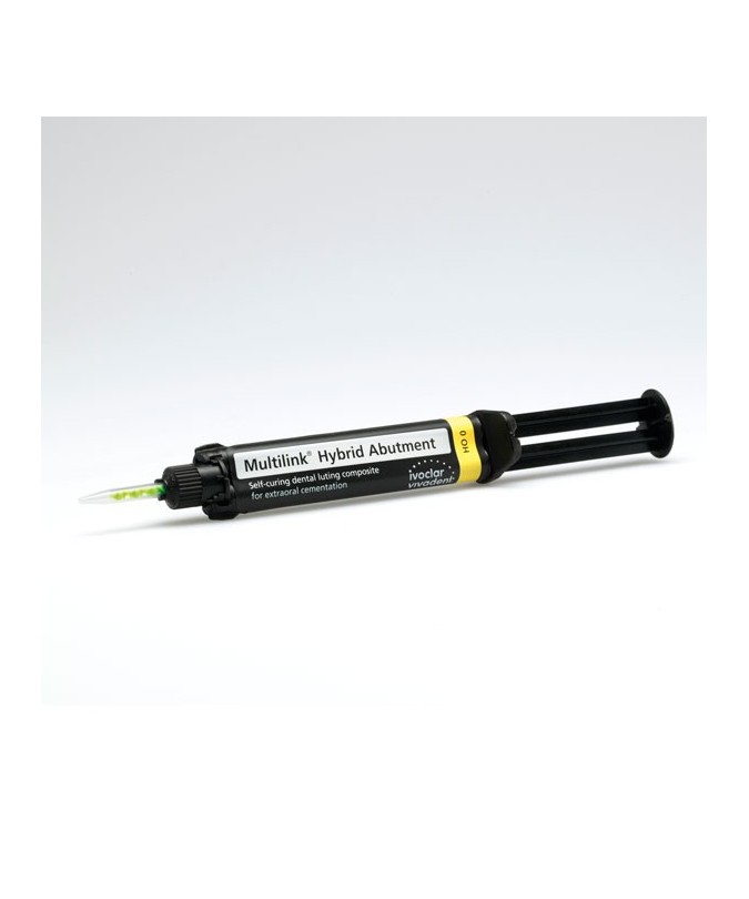 MULTILINK HYBRID ABUTMENT REP. HO 0